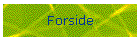 Forside